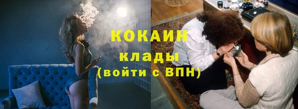 стаф Абаза