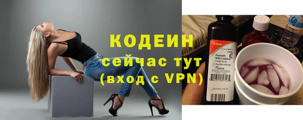 стаф Абаза
