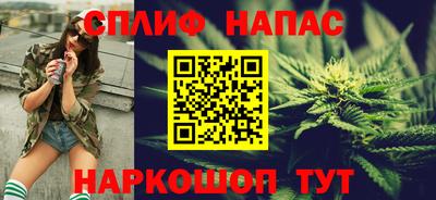дживик Моздок