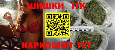 сатива Можга