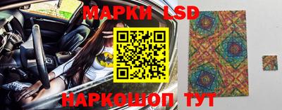 сатива Можга